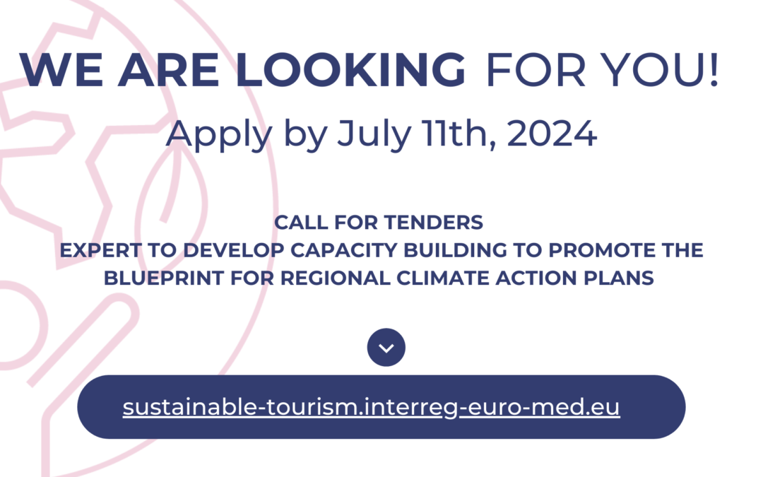 Call for Tenders – Expert to develop capacity building to promote the blueprint for regional climate action plans. Deadline 11 July 2024