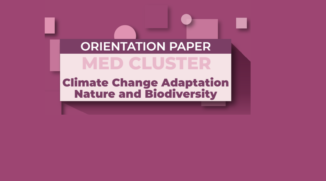The Orientation Paper of the MED Cluster Climate Change and Nature and Biodiversity