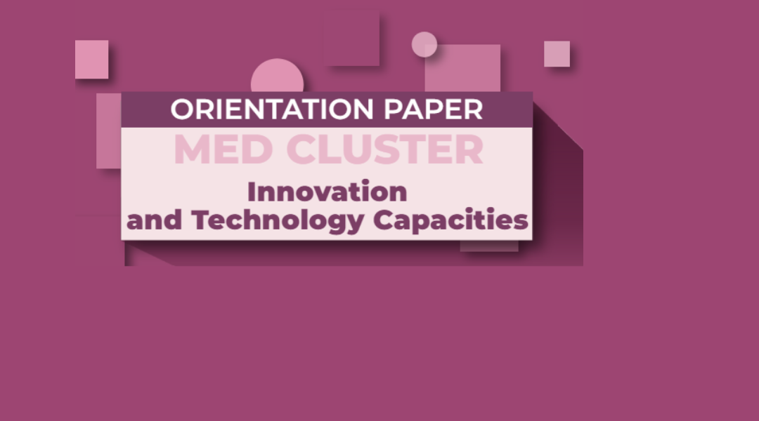 The Orientation Paper of the MED Cluster Innovation