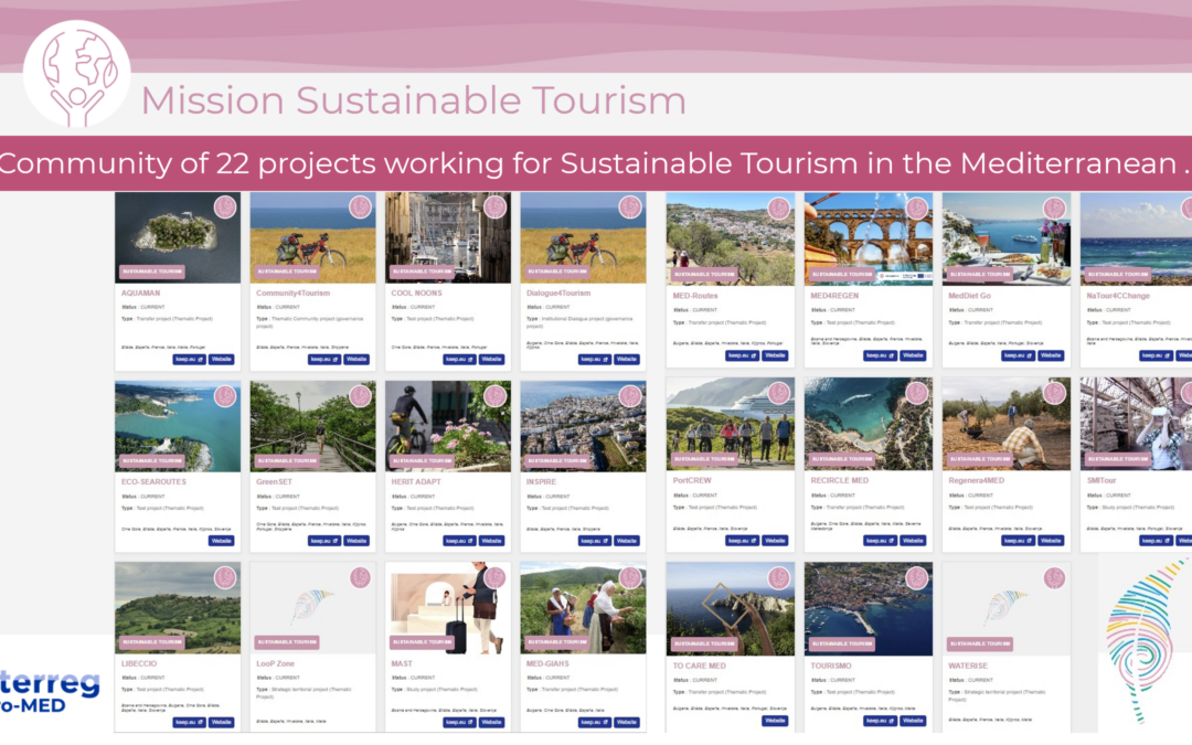 Our Awareness Event strengthens governance and transfer of best practices of the Mission Thematic Projects