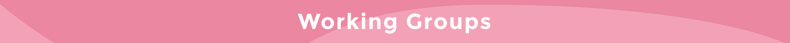 Working Groups